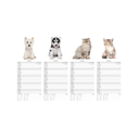 Super Slim Calendar 2025 Cats & Dogs 