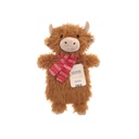 Novelty Hot Water Bottle  