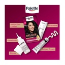 Palette Deluxe 1-0 Deep Black Hair Dye
