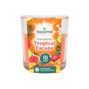 Bloome Fragrance Glass Jar Candle - Tropical Escape, 95g