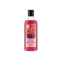 Alberto Balsam Sunkissed Raspberry Condition 300ml